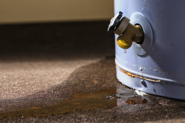 Best Basement water damage restoration  in Magnet Cove, AR