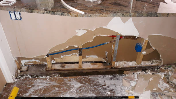Best Flood damage cleanup  in Magnet Cove, AR