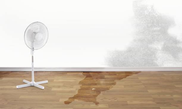 Best Water damage restoration near me  in Magnet Cove, AR
