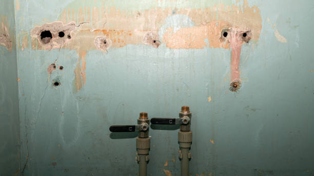 Best Fire Damage Restoration  in Magnet Cove, AR